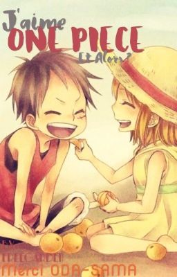 J'aime ONE PIECE, et alors ?