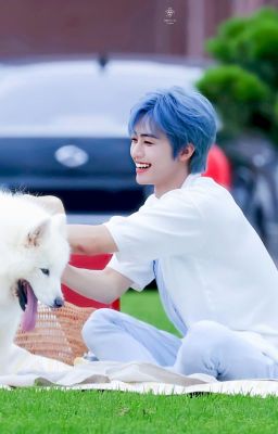 jaemin; my bear