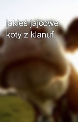 jakieś jajcowe koty z klanuf