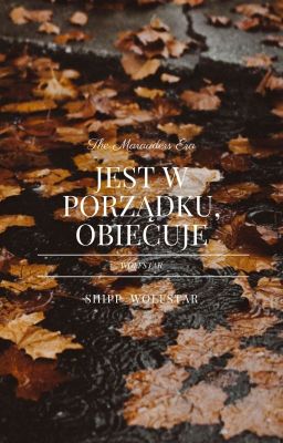 Jest w porządku, obiecuję || ✔