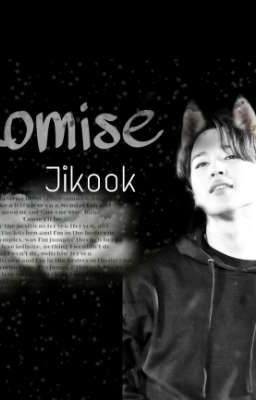 🅿🆁🅾🅼🅸🆂🅴 / Jikook / Sk