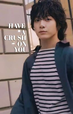 jungkook | have a crush on you