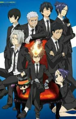 Just a normal day for Vongola