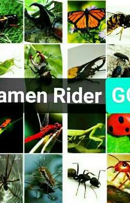Kamen Rider Go (The Rider Season 1 And 2)