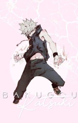 (Katsuki Bakugou X Male reader)The missing piece that spelled help.