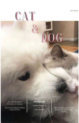 ◠Kazuscara☆ Cat & Dog