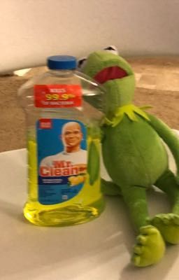 Kermit doesn't approve