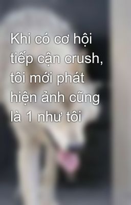 Khi có cơ hội tiếp cận crush, tôi mới phát hiện ảnh cũng là 1 như tôi