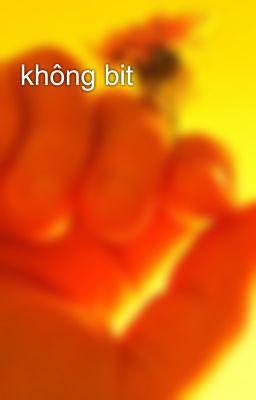 không bit