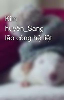 Kim huyên_Sang lão công hệ liệt