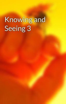 Knowing and Seeing 3