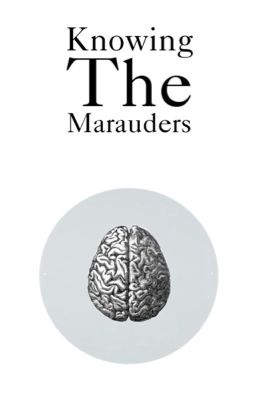 Knowing the Marauders