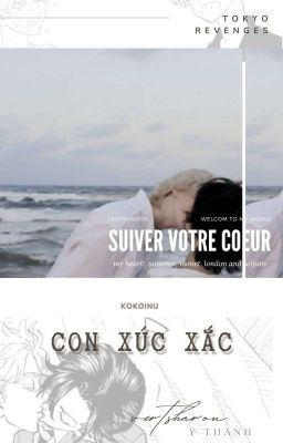 ❦ kokoinu: con xúc xắc