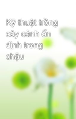 Kỹ thuật trồng cây cảnh ổn định trong chậu