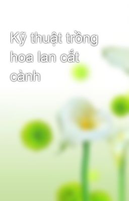 Kỹ thuật trồng hoa lan cắt cành