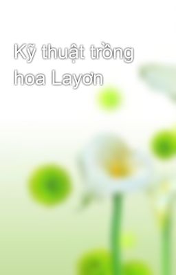 Kỹ thuật trồng hoa Layơn