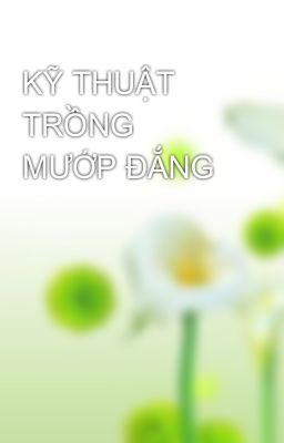 KỸ THUẬT TRỒNG MƯỚP ĐẮNG