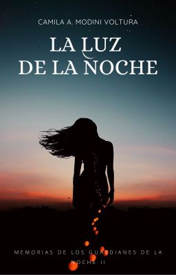 La Luz de la Noche