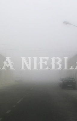 La niebla | Steter