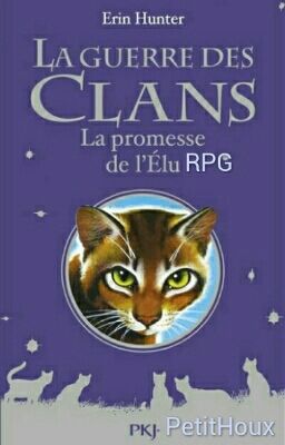 La promesse de l'Élu RPG