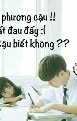 Là Tớ Thích Cậu