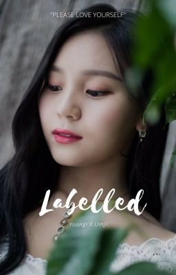 labelled || yoongi x umji