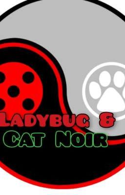 Ladybug And Cat Noir Season 1-MLB&CN Rewrite