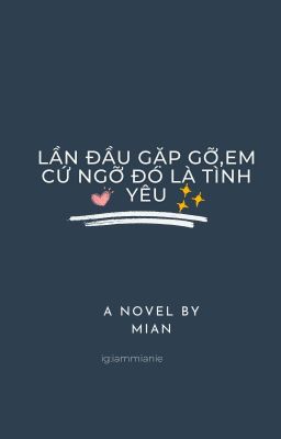 Lần đầu gặp gỡ,em cứ ngỡ đó là tình yêu.