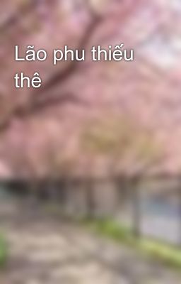 Lão phu thiếu thê