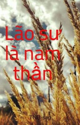 Lão sư là nam thần