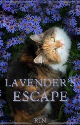 Lavender's Escape || Warrior Cats