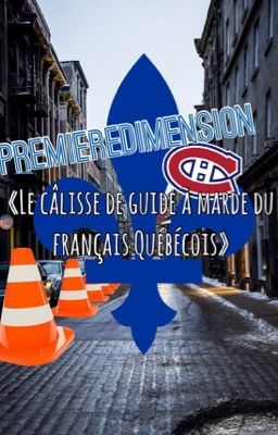 Le Câlisse De Guide À Marde Du Français Québécois