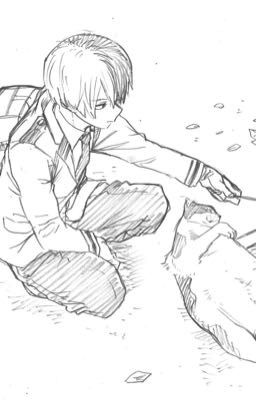  le chasseur | todoroki shoto x you