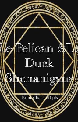 Le Pelican & Le Duck Shenanigans 