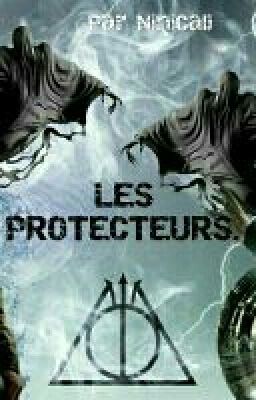 Les Protecteurs [Pause]