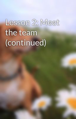 Lesson 2: Meet the team (continued)