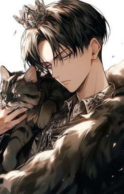 [Levi x Reader] Tôi Chỉ Muốn Yêu Một Người Thật Lâu.