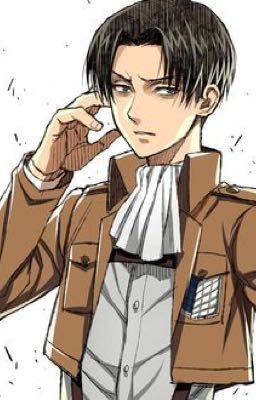 Levi x Shy!Reader (ONESHOT!/REMADE!)