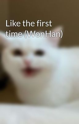 Like the first time (WonHan)