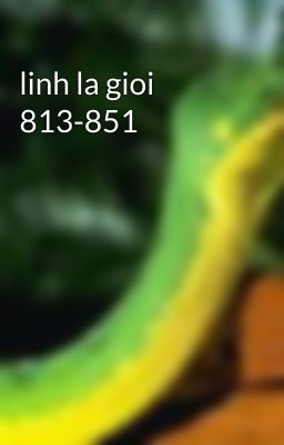 linh la gioi 813-851