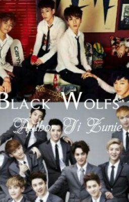 [LONGFIC - EXO_BTS COUPLE] The Silver Wolfs Class