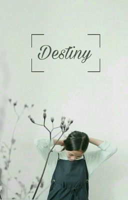 |Longfic|Suga| Destiny