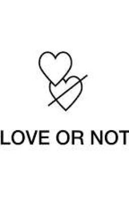 love or not (yêu hay không)