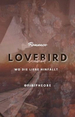 Lovebird Wo die Liebe hinfällt