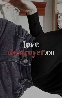 Lovedestroyer.co