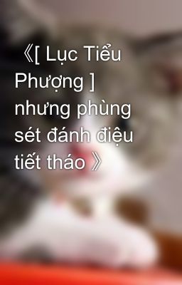 《[ Lục Tiểu Phượng ] nhưng phùng sét đánh điệu tiết tháo 》