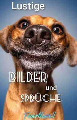 Lustige Bilder und Sprüche  -  200 Follower Special