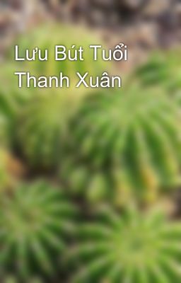 Lưu Bút Tuổi Thanh Xuân 