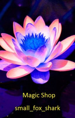 Magic Shop