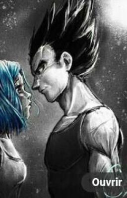 Malgré nos différents { Vegeta X Bulma }